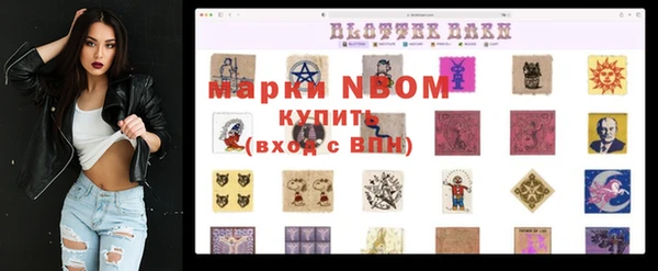 крисы Армянск