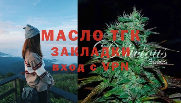 винт Аркадак