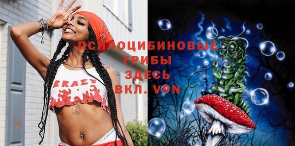 крисы Армянск