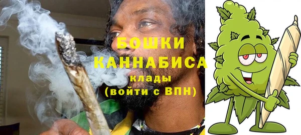 винт Аркадак